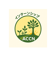 「60歳からのキャリアをどう描く？」第9回ACCNインターンシップ参加者 振り返り会レポート